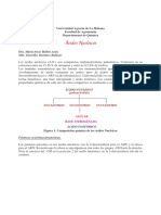 Acidos Nucleicos