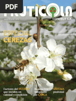 Especial Cerezas