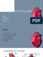 Sist. Cardiovascular 