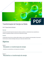 Transformação de Energia Na Célula