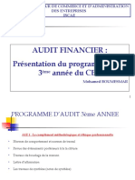 Audit Financier