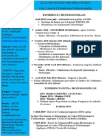 CV Informaticien.