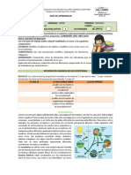 Taller Dinámica de Los Ecosistemas