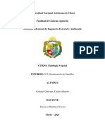 FISIOLOGÌA VEGETAL - CORONEL GUEVARA CARLOS ALBERTO-Germinaciòn de Semillas de Maiz