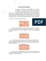 Infeccion Bacteriana