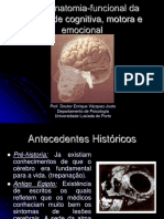 Neuro Anatomia