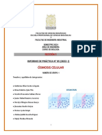 Ficha Práctica Semana 5