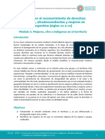 La Lucha Por El Reconocimiento de Derechos: Indígenas, Afrodescendientes y Mujeres en Argentina (Siglos A)