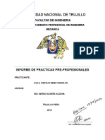 Informe de Practicas Avila Cortijo