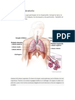 Aparato Respiratorio