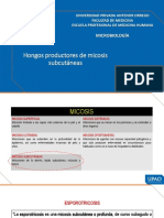 011d Hongos Productores de Micosis Subcutáneas