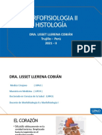 s1 - Presentacion Personal - Semana 1 - Diapositivas Sistema Cardiovascular - Histologia