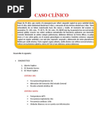 Caso Clínico Aborto Septico