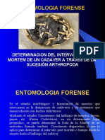 Estomologia Forense