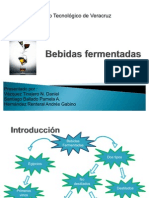 Bebidas Fermentadas