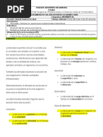 PDF Documento