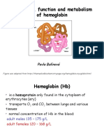 Structure, Function and Metabolism of Hemoglobin: Pavla Balínová