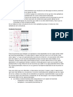 Fisiopatologia de Las Crisis Convulsivas