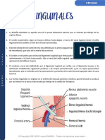 4.1 Hernias Inguinales