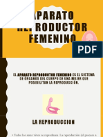 Aparato Reproductor Femenino