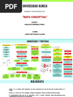 Bioquímica, Aminoácicos y Proteínas (Mapa Conceptual)