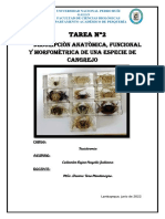 Tarea N 2 de Taxidermia