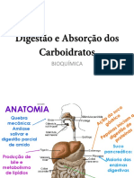 Digestão e Absorção Dos Carboidratos