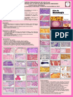 HISTOLOGIA Póster