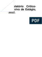 Relatório Crítico-Reflexivo de Estágio, 2022