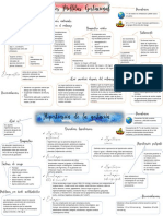 Mapa Conceptual Diabetes Mellitus Gestacional e Hipertension de La Gestacion