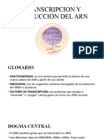 Clase - 6 - TRANSCRIPCION Y TRADUCCIÓN DEL ARN
