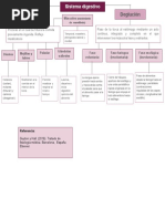 Mapa Conceptual: Masticación y Deglución