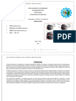 MAPA CONCEPTUAL DE MESODERMO LATERAL Y ENDODERMO - Embriologia Animal