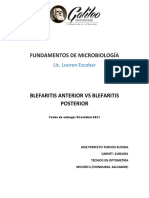 Blefaritis Posterior VS Blefaritis Anterior