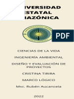 Infografía Marco Lógico