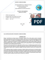 Mapa Conceptual de Placentas y Metamorfosis - Embriologia General