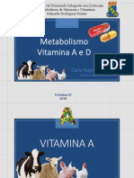 Seminário Vitamina A e D