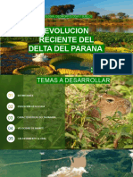 Evolucion Reciente Delta Parana