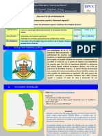 DPCC 4to Semana 20