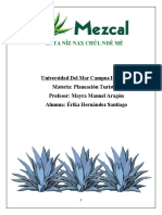 Ruta Del Mezcal - Caso San Cristóbal Amatlán.