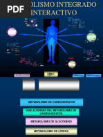 Metabolismo Integrado e Interactivo
