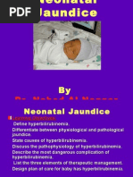 Jaundice Neonatal