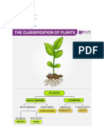 Flowering and Non-Flowering Plants