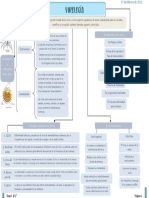 Mapa Conceptual Sobre La Virología