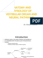 Anatomy and Physiology of Vestibular Organ and Neural