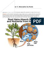 ICSE Class 10th ABSORPTION BY ROOT Notes