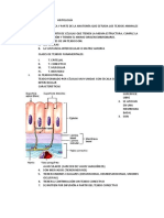 HISTOLOGÍA