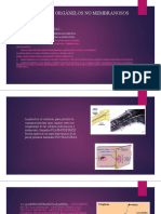Estructuras y Orgánelos No Membranosos
