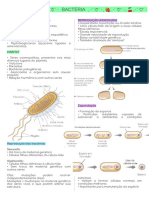 Bactérias e Vírus Resumo PDF