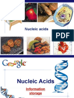 Nucleic Acids: AP Biology